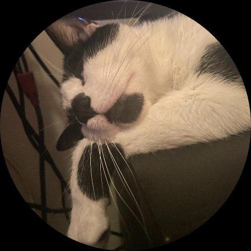 Sweetly.cat: Oscar (london, United Kingdom)