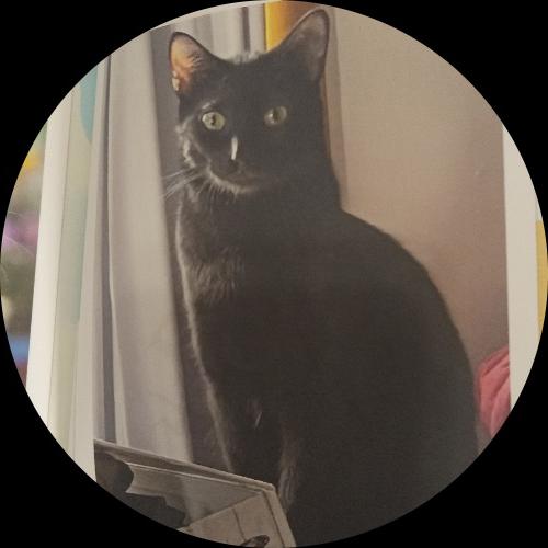 Sweetly.cat: Onyx Moon (Kentucky, United States of America)
