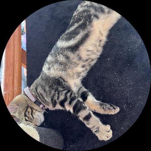 Sweetly.cat: Coco (Koper, Slovenia)