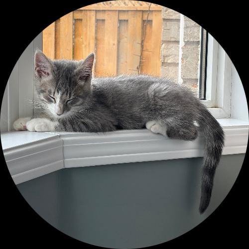 Sweetly.cat: Sonic (Ontario, Canada)